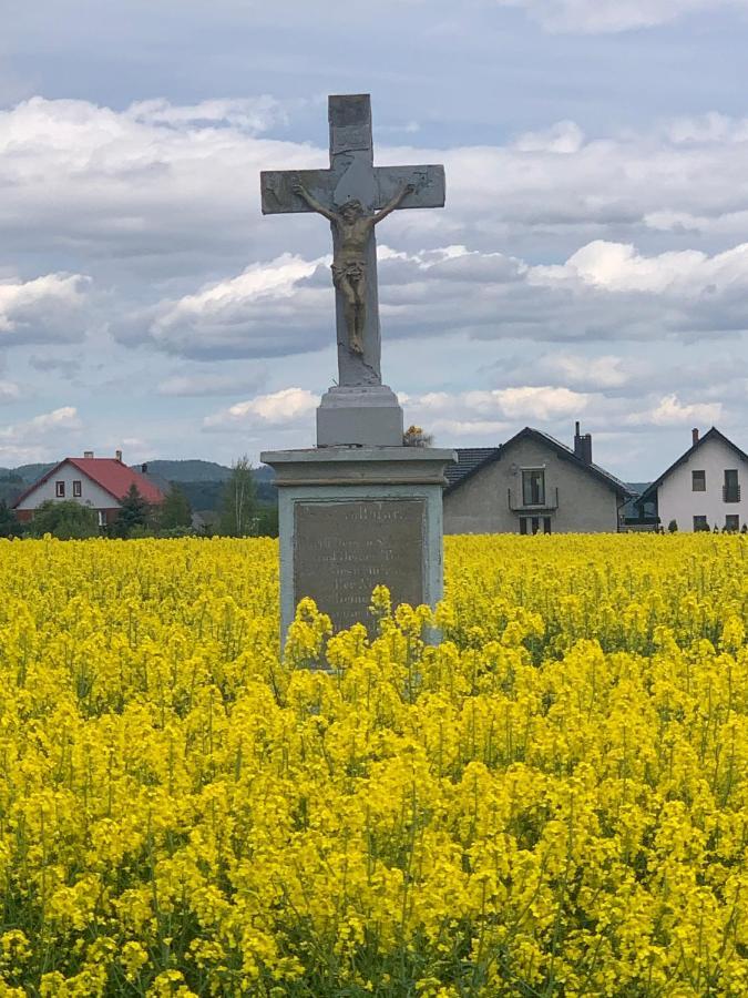 Dom Na Wzgorzu Villa Polanica-Zdroj Bagian luar foto