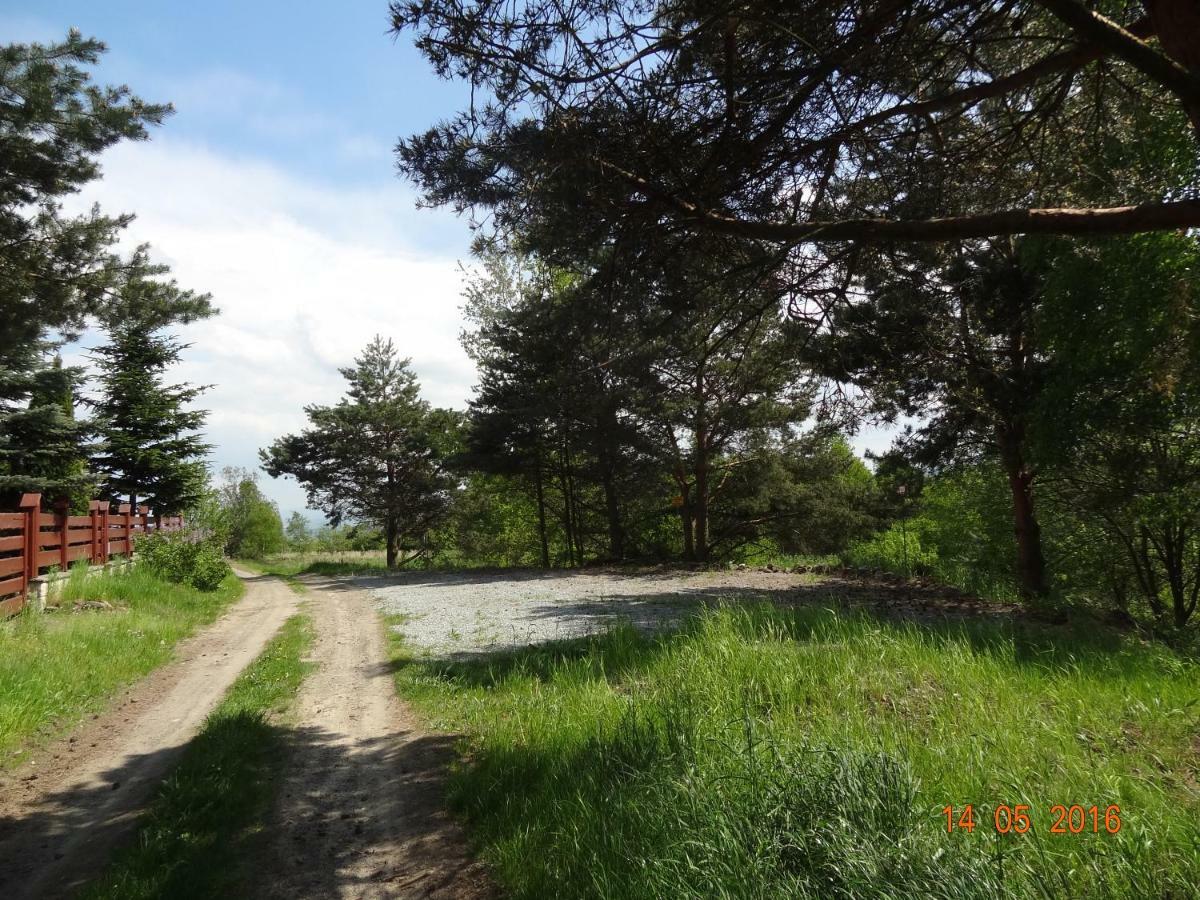 Dom Na Wzgorzu Villa Polanica-Zdroj Bagian luar foto