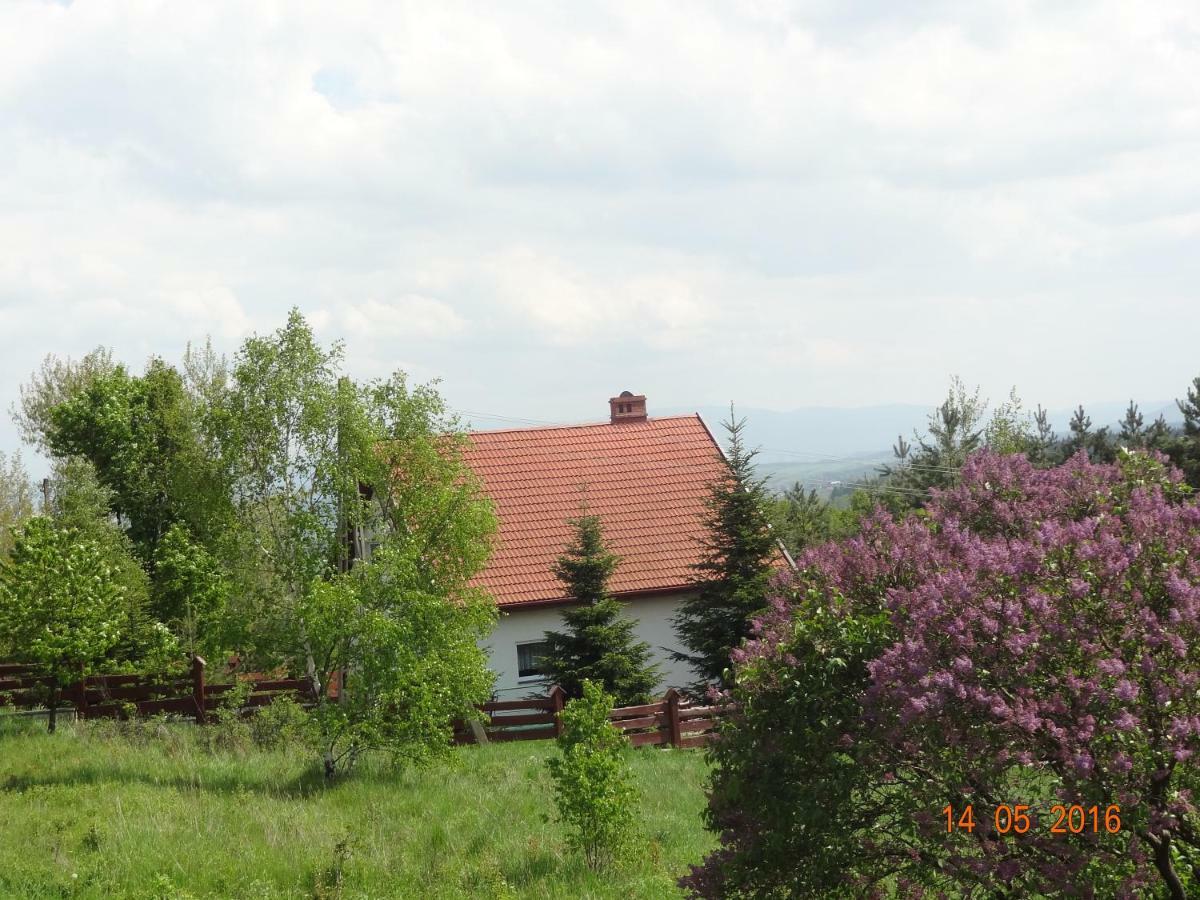Dom Na Wzgorzu Villa Polanica-Zdroj Bagian luar foto