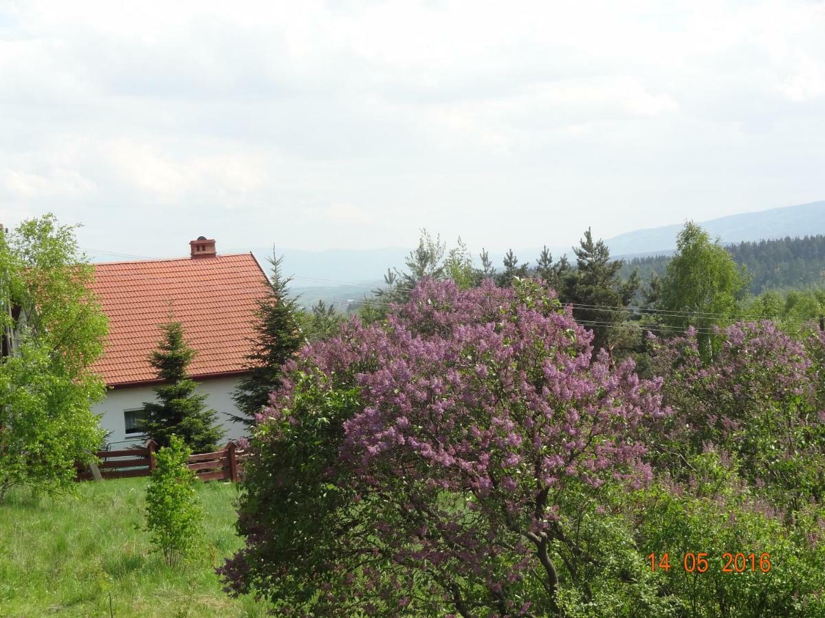 Dom Na Wzgorzu Villa Polanica-Zdroj Bagian luar foto